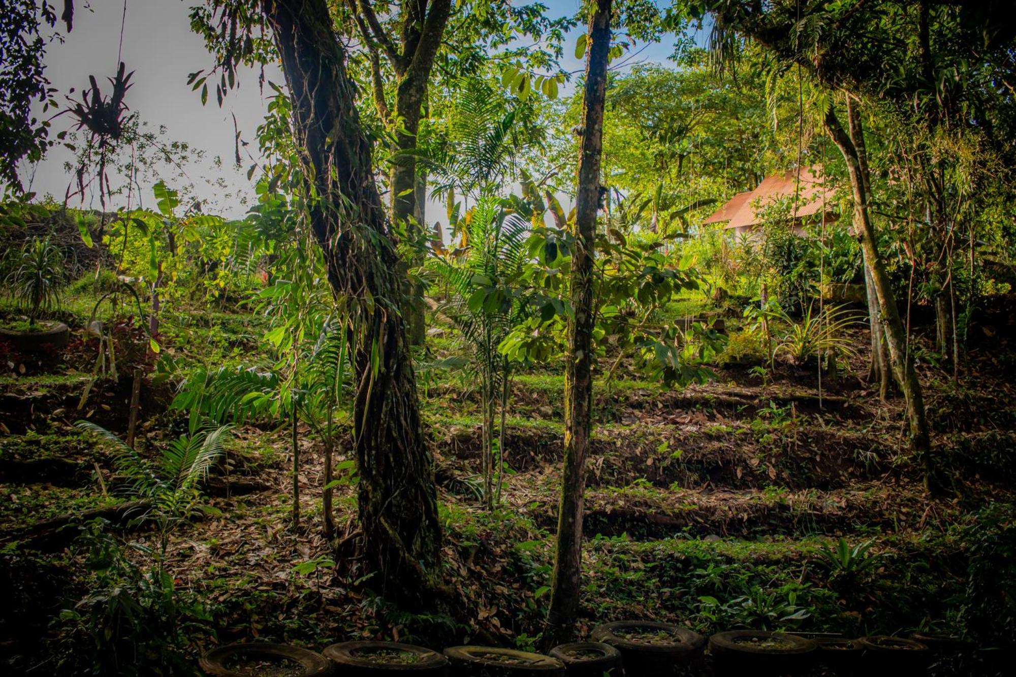 Villa Campo'S Venecia Buitenkant foto
